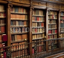 Biblioteca_libros_2.jpg